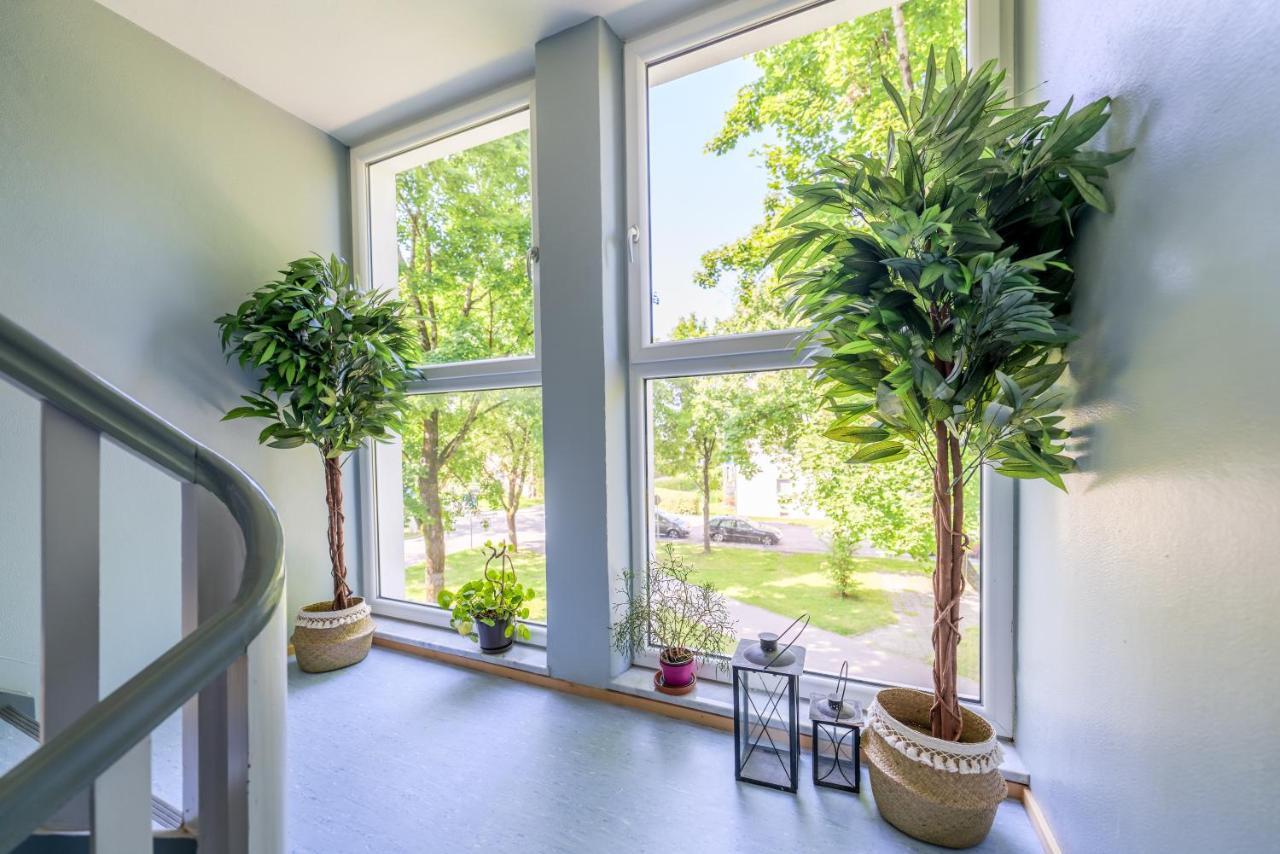 Eg Links-Wunderschoene 70M Grosse 2-Zimmer City Wohnung Naehe Salzburg 弗赖拉辛 外观 照片